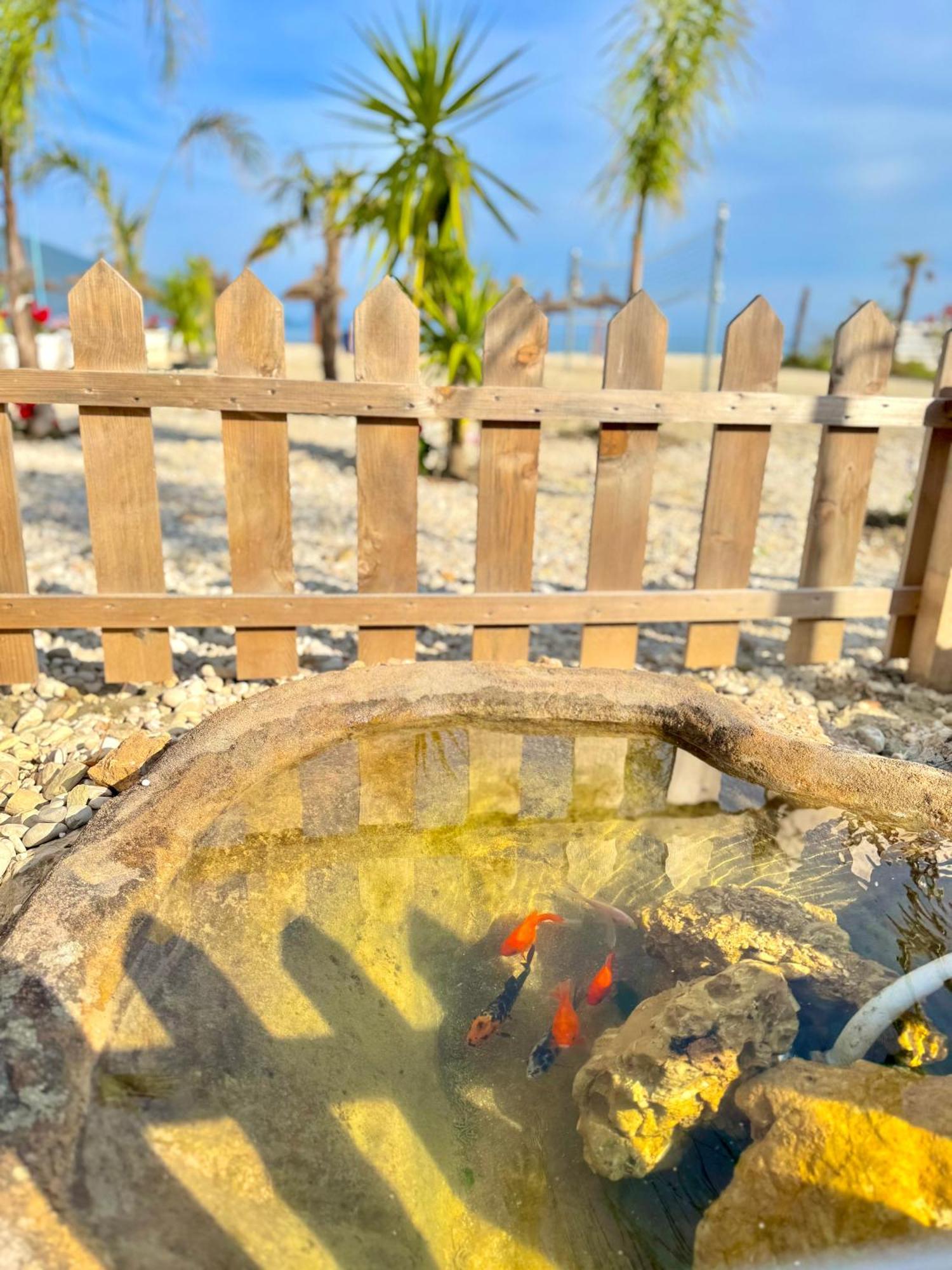 Blue Paradise Hotel 奥里库姆 外观 照片